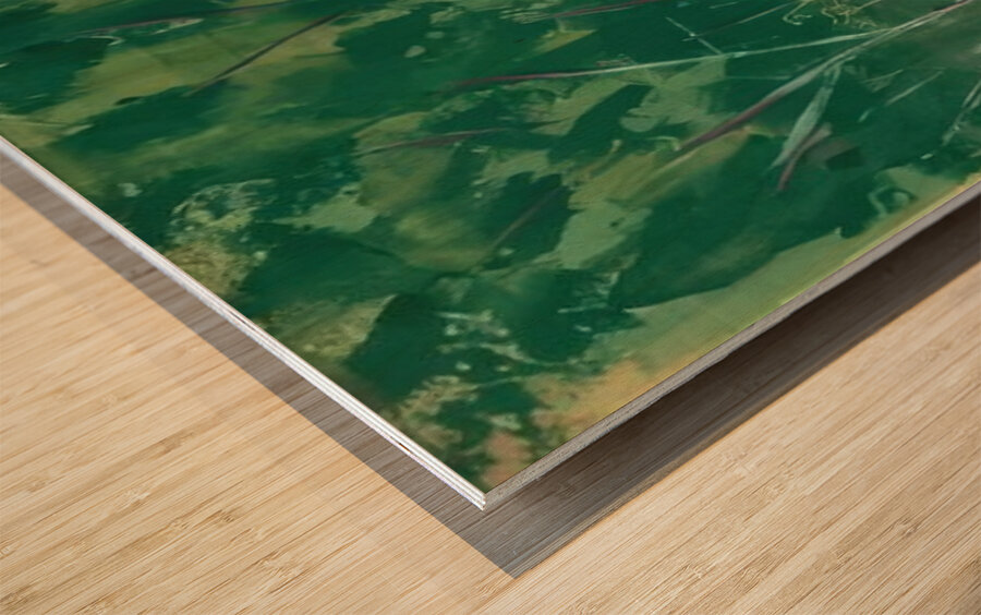 Milton Avery 9 Wood print