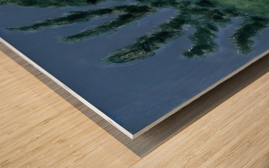 Milton Avery 11 Wood print