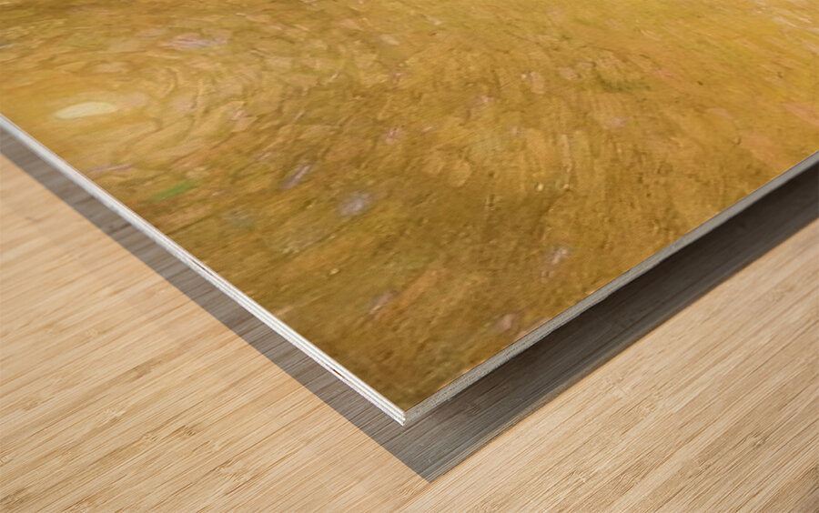 Tom Thomson 19 Wood print