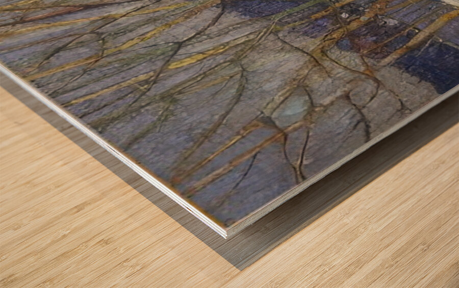 Tom Thomson 55 Wood print