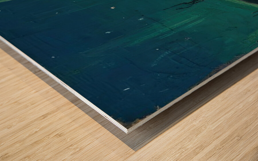 Tom Thomson 64 Wood print