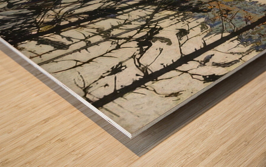 Tom Thomson 65 Wood print