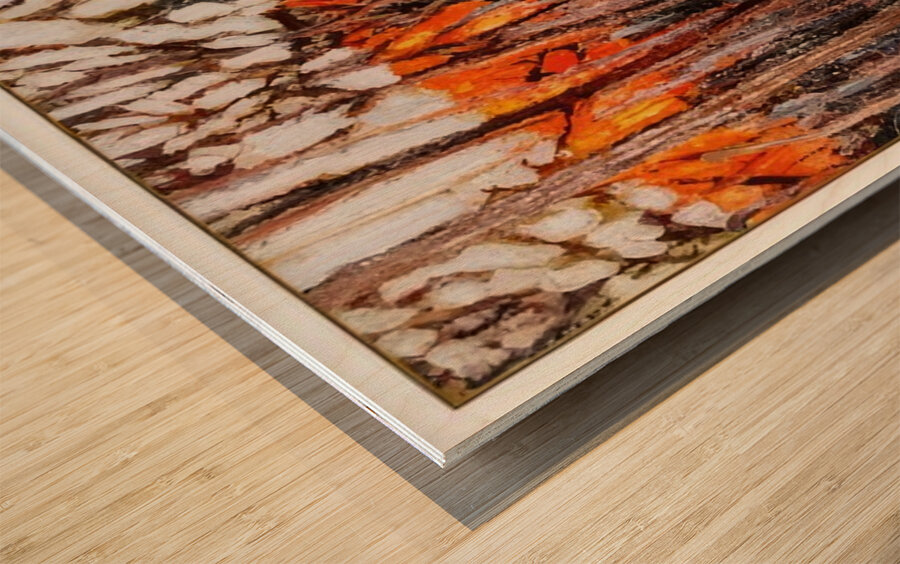 Tom Thomson 69 Wood print