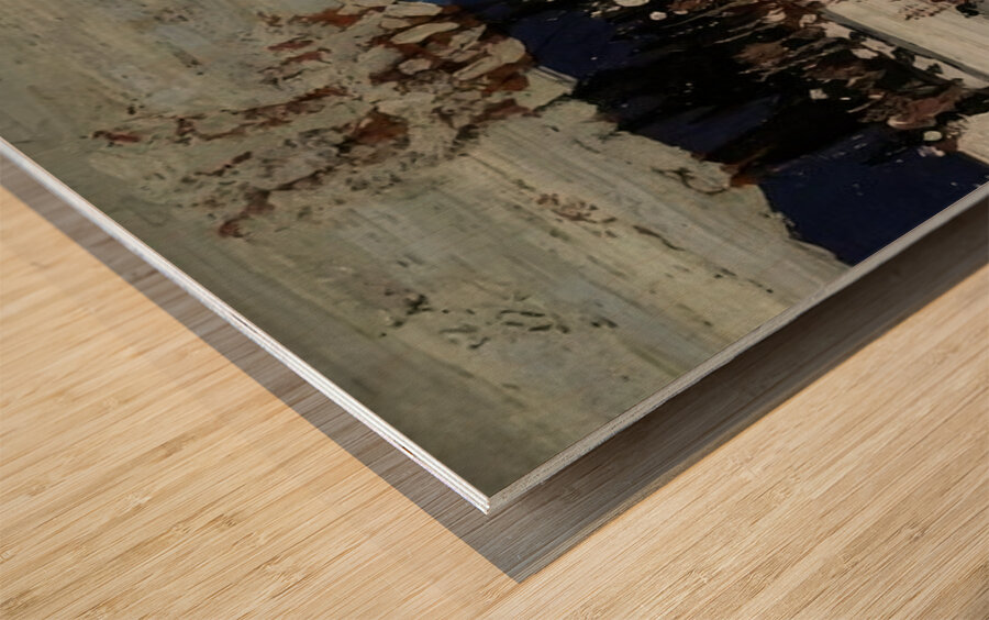 Tom Thomson 73 Wood print