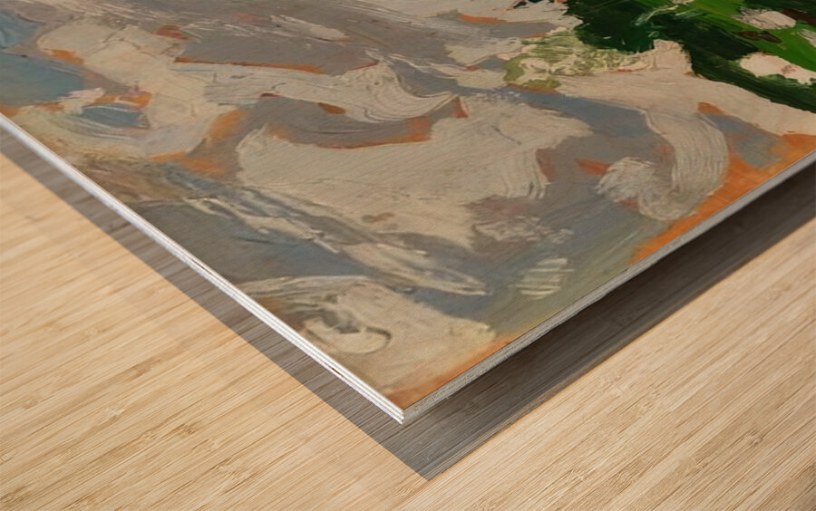 Tom Thomson 6 Wood print