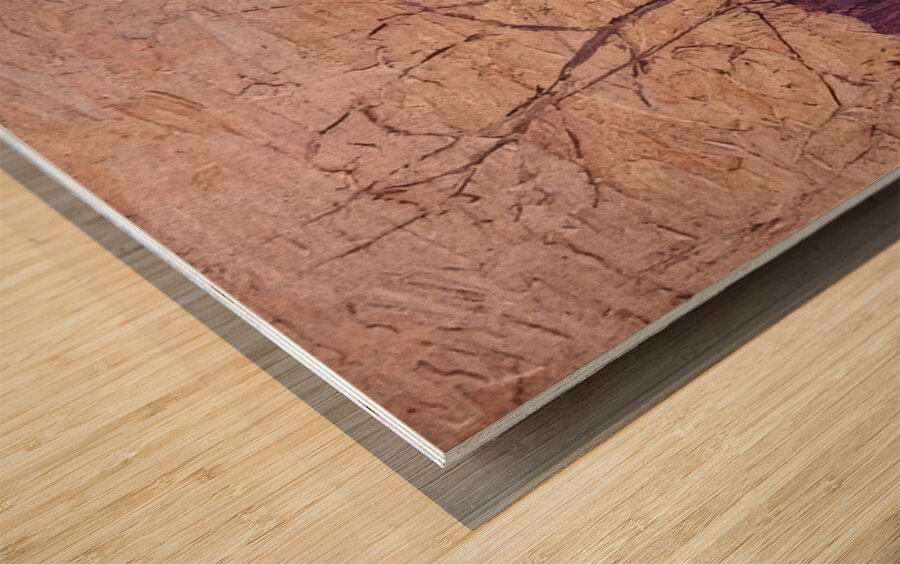 Tom Thomson 10 Wood print