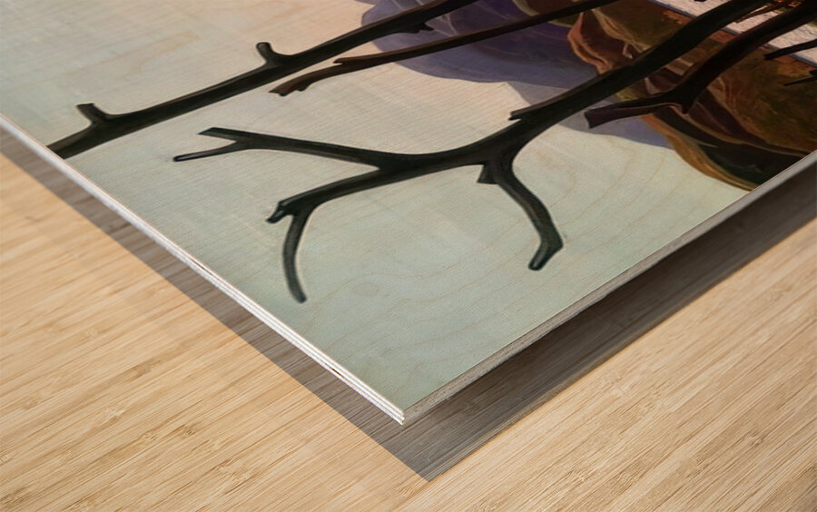 Tom Thomson 24 Wood print