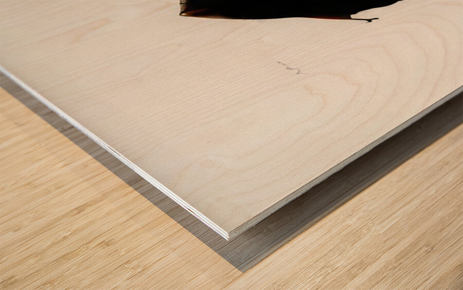 Robert Motherwell 12 Wood print