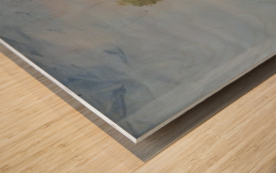 André Derain 39 Wood print