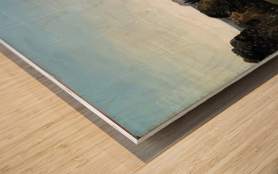 André Derain 44 Wood print