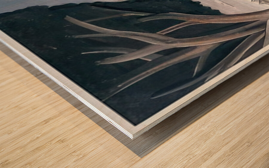 André Derain 42 Wood print