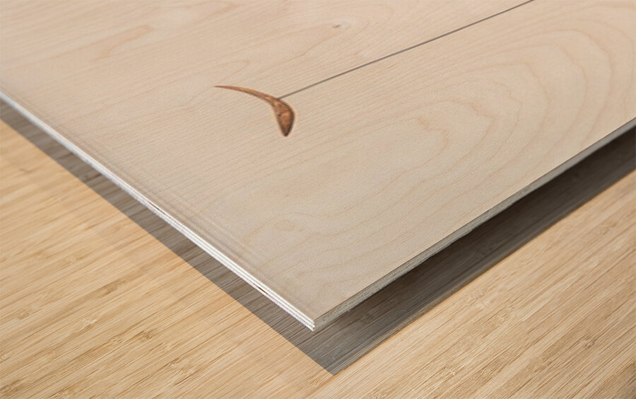 Alexander Calder 6 Wood print