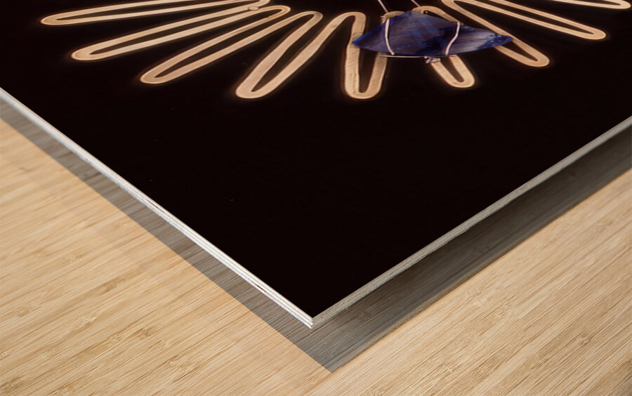 Alexander Calder 18 Wood print