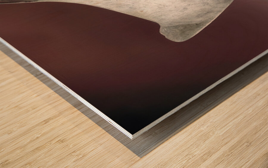 Alexander Calder 15 Wood print