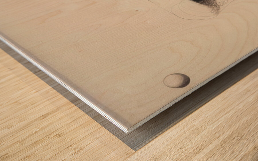 Alexander Calder 21 Wood print