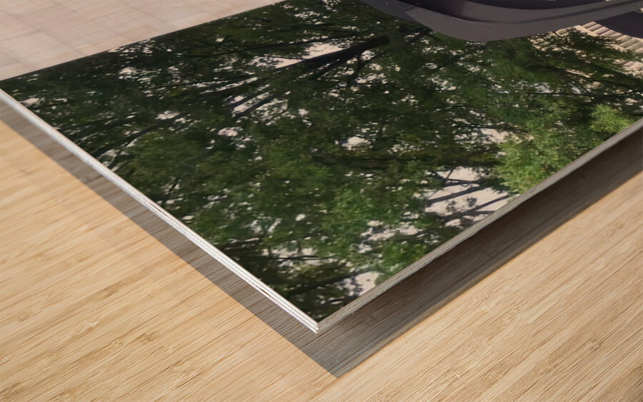 Alexander Calder 27 Wood print