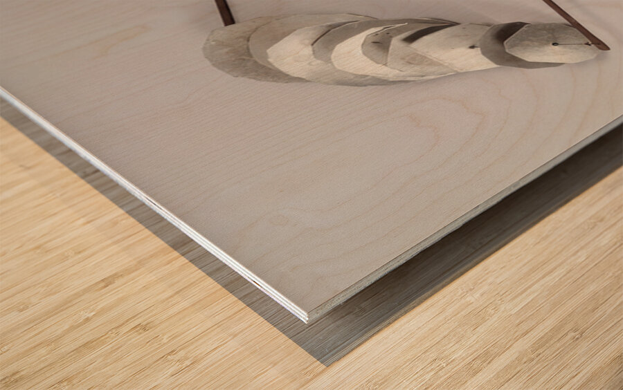 Alexander Calder 31 Wood print