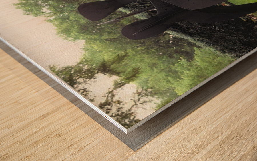 Alexander Calder 53 Wood print