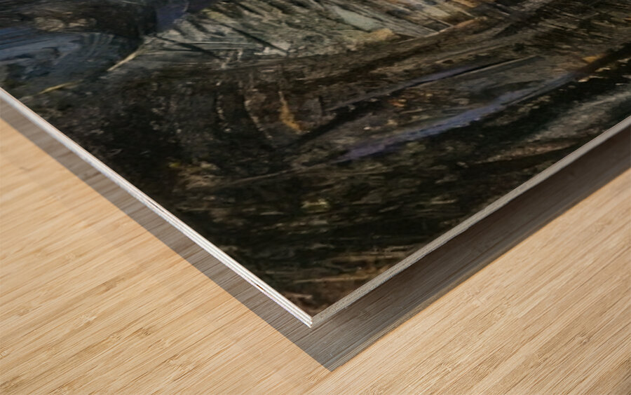 Emily Carr 27 Wood print