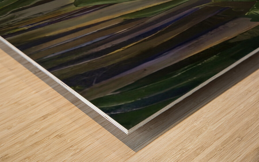 Emily Carr 31 Wood print