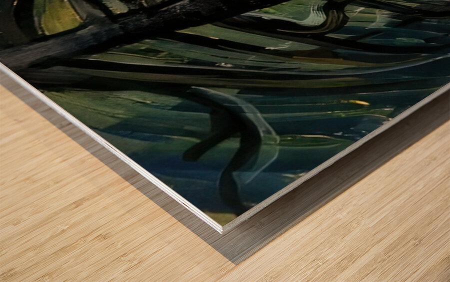 Emily Carr 62 Wood print