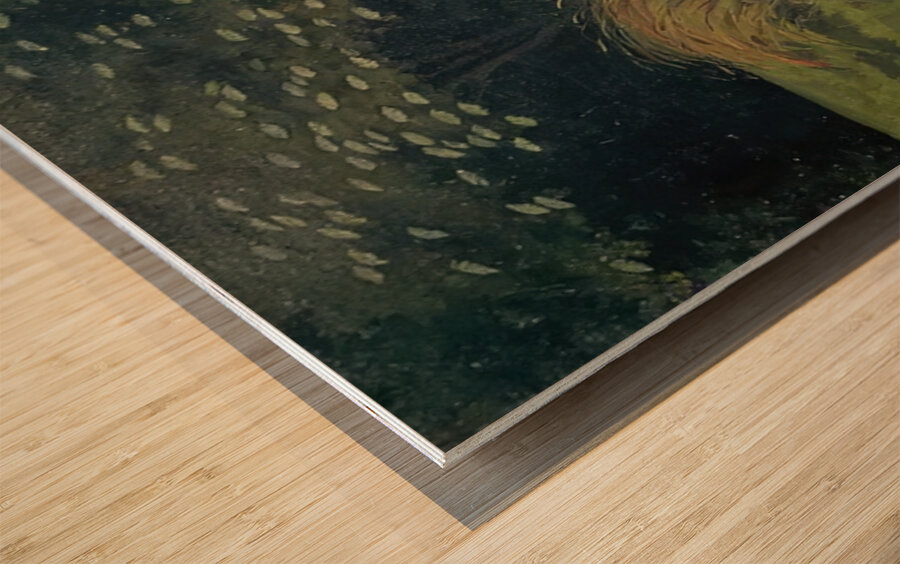 Félix Thiollier 1 Wood print