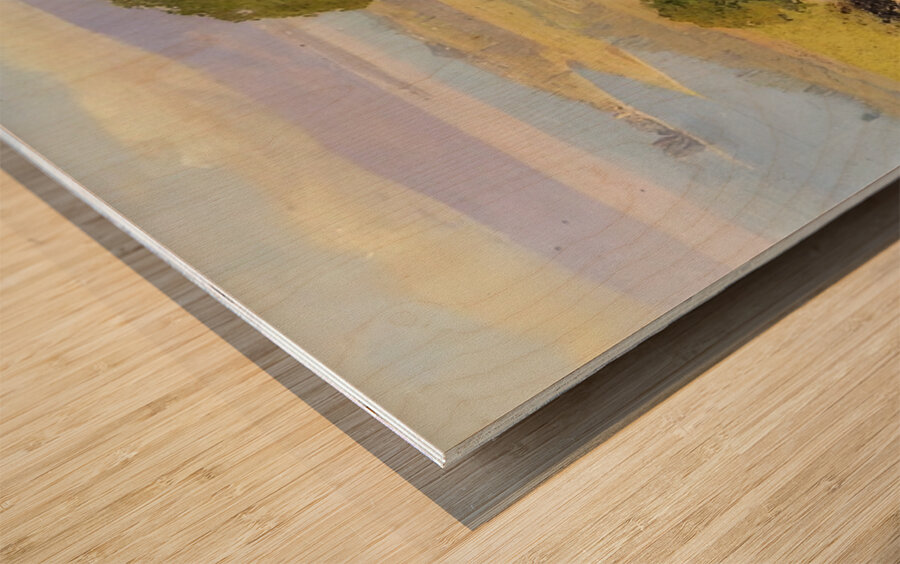 Félix Thiollier 2 Wood print