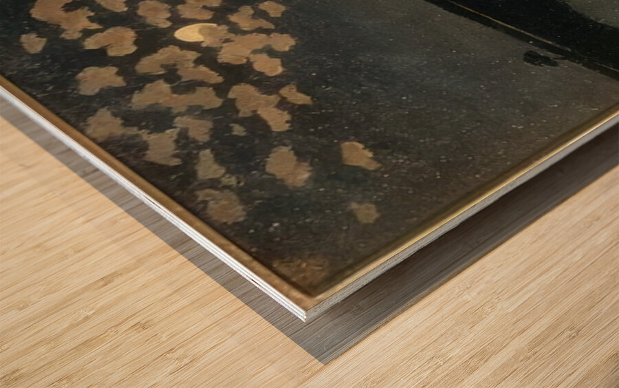 Félix Thiollier 3 Wood print