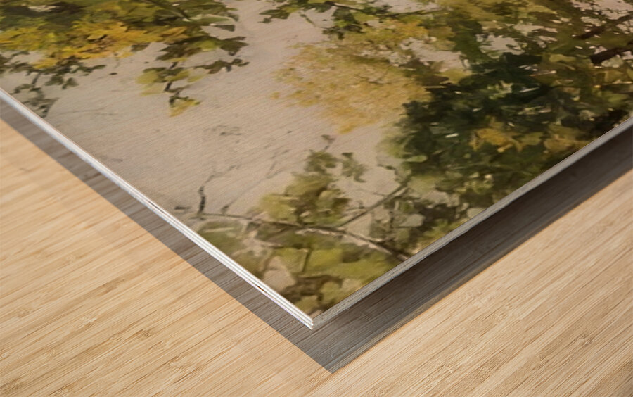 Félix Thiollier 6 Impression sur bois