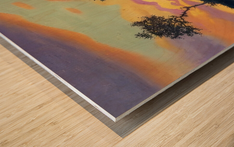 Félix Thiollier 7 Wood print