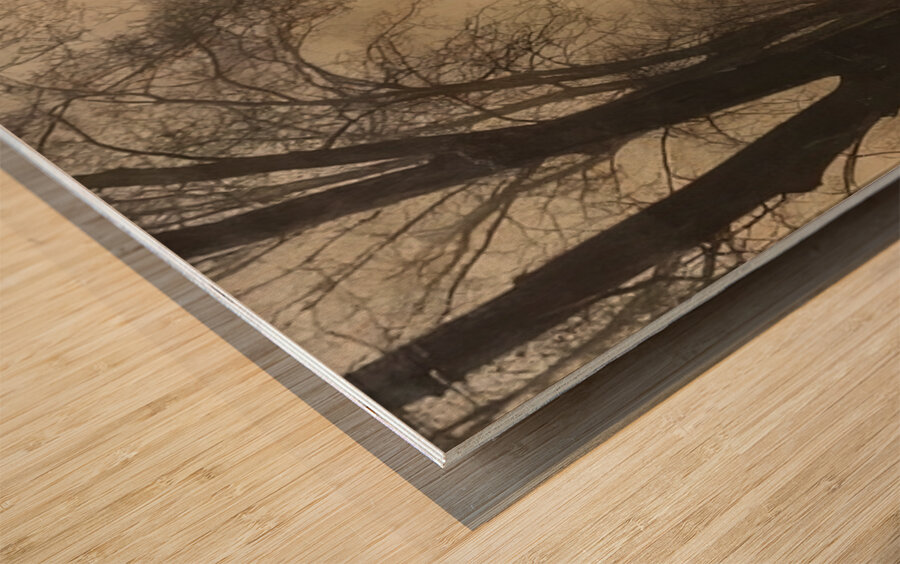 Félix Thiollier 9 Wood print