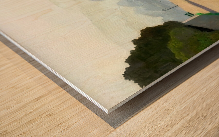 Félix Thiollier 10 Wood print