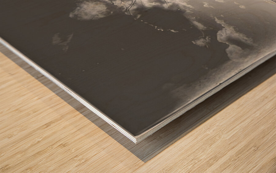 Félix Thiollier 11 Wood print