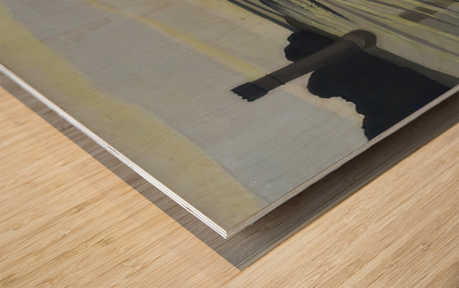 Félix Thiollier 12 Wood print