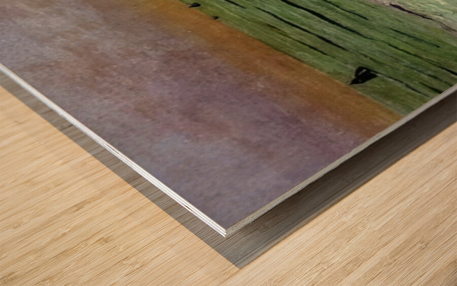 Félix Thiollier 13 Wood print