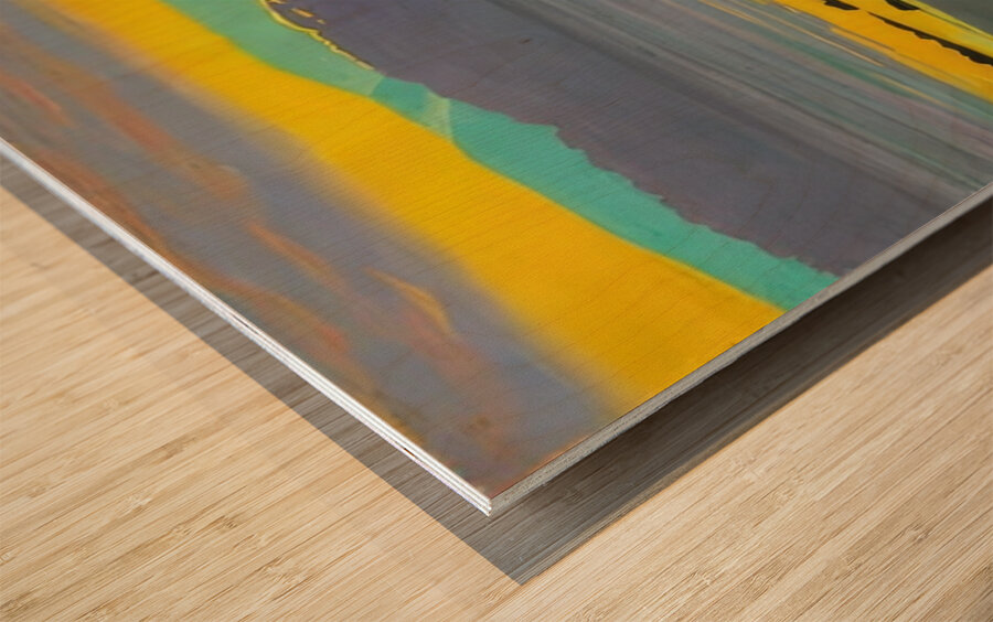 Félix Thiollier 15 Wood print