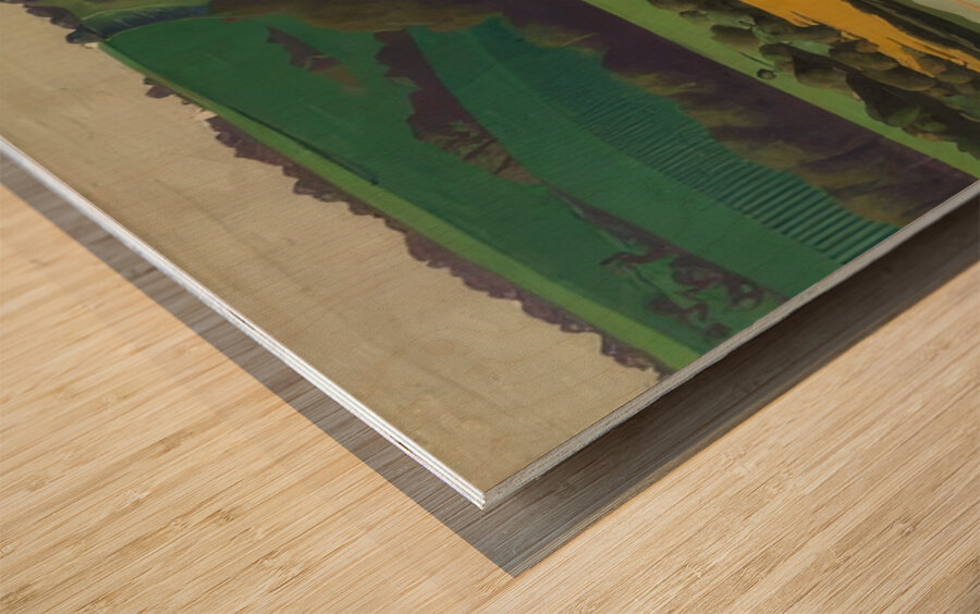 Félix Thiollier 16 Wood print