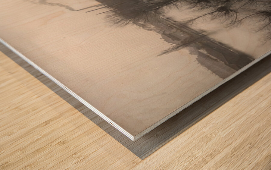 Félix Thiollier 18 Wood print