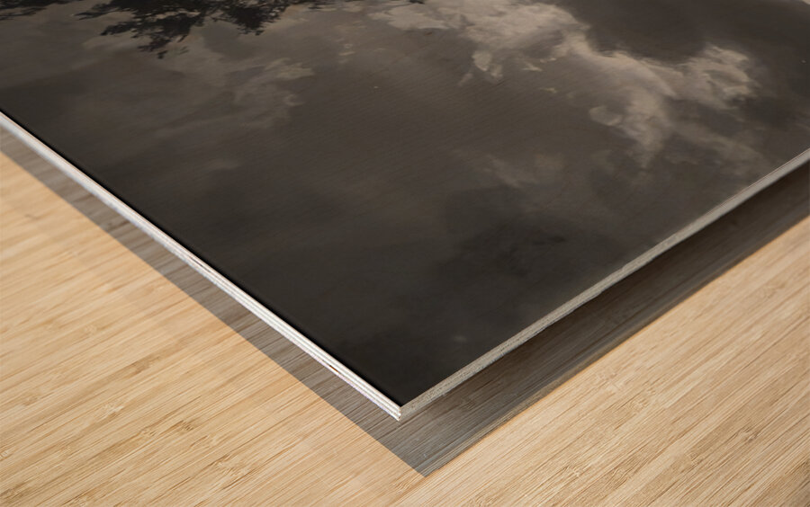 Félix Thiollier 19 Wood print