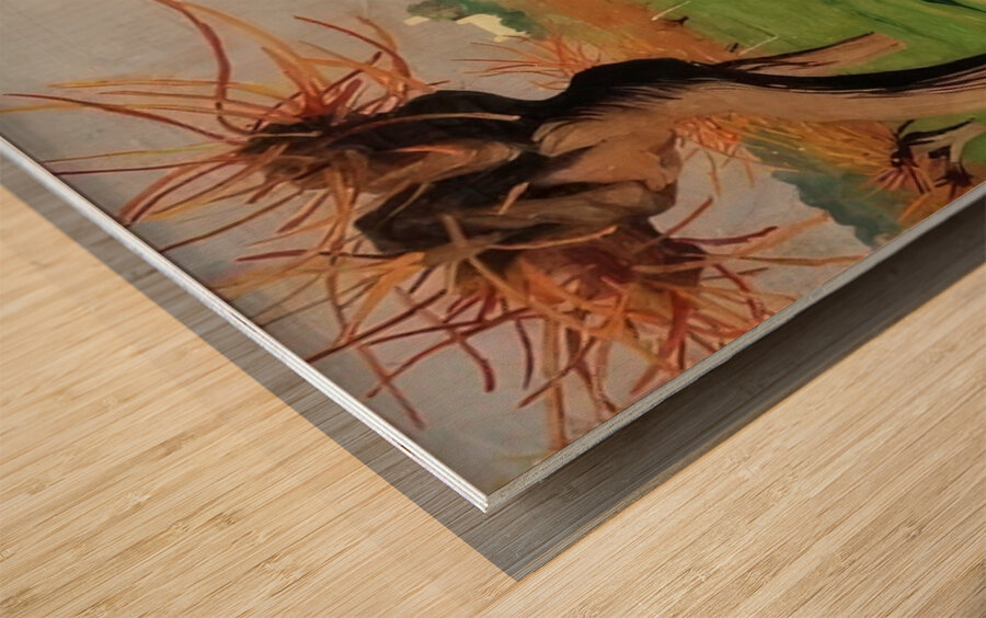 Félix Thiollier 22 Wood print