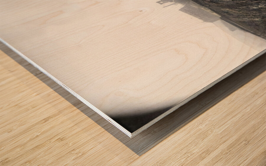 Félix Thiollier 27 Wood print