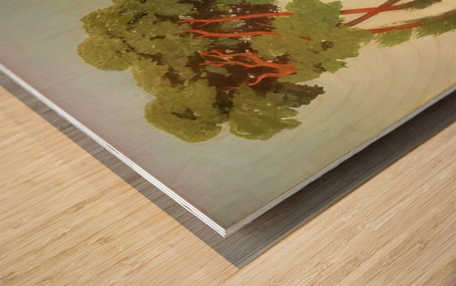 Félix Thiollier 28 Wood print