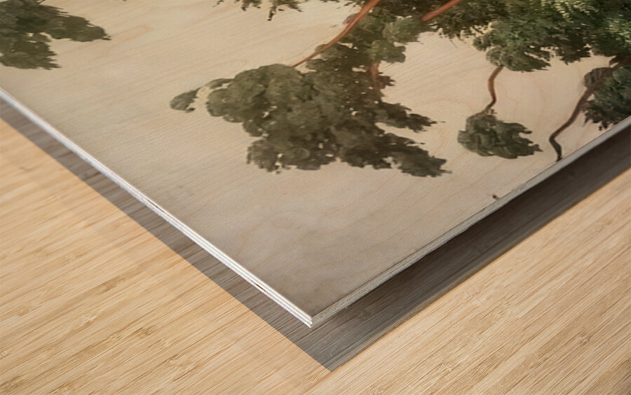 Félix Thiollier 31 Wood print