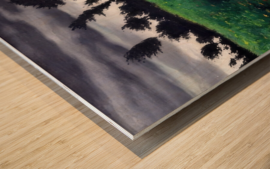 Félix Thiollier 32 Wood print