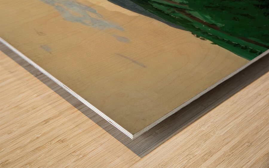 Félix Thiollier 34 Wood print