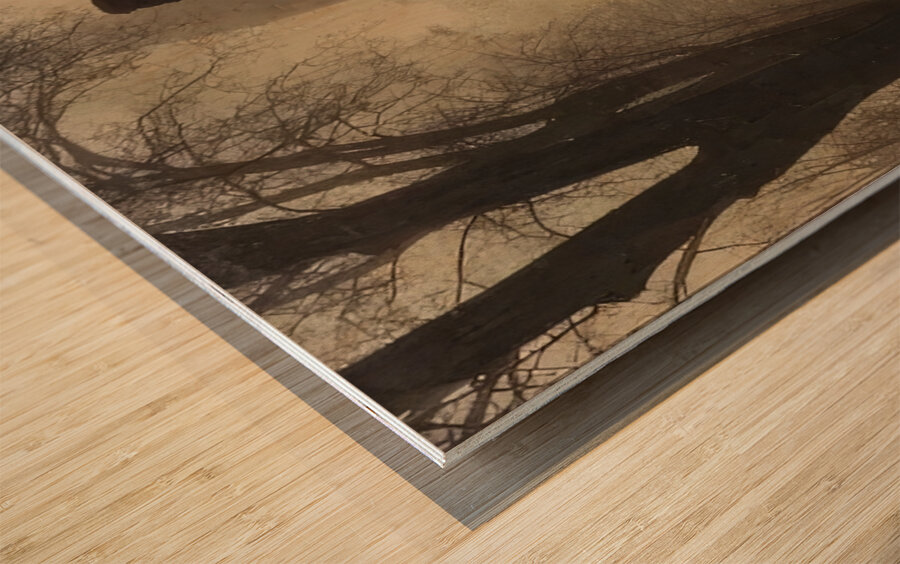 Félix Thiollier 35 Wood print