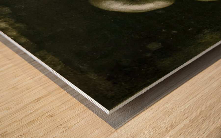 Félix Thiollier 39 Wood print