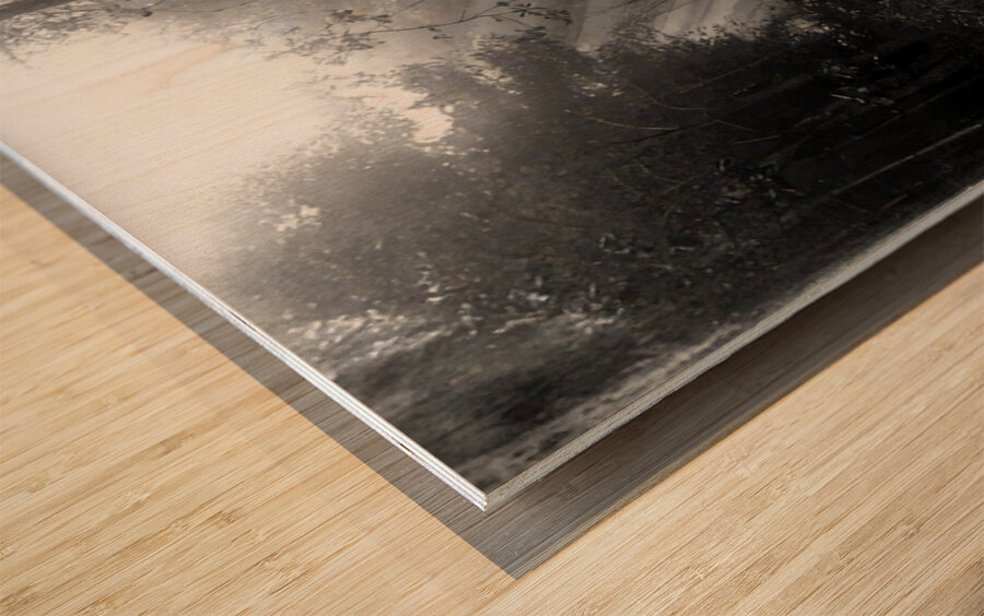 Félix Thiollier 40 Wood print