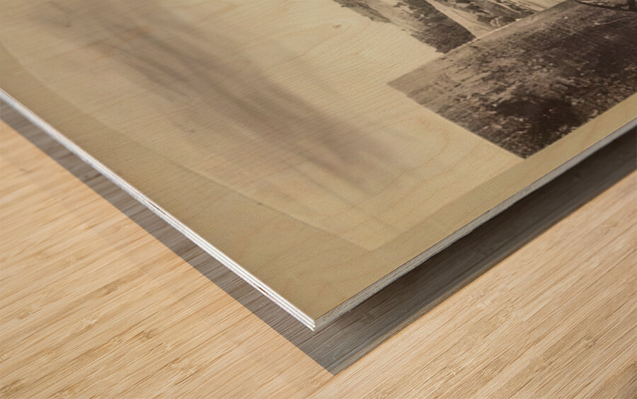 Félix Thiollier 41 Wood print