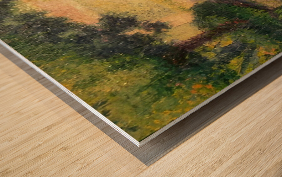 Henri Edmond Cross 2 Wood print